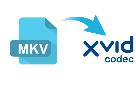 MKV para XviD