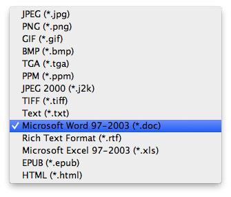 Selecione o formato de conversão Excel como desejado